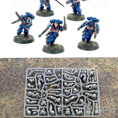 Описание картинки Assault Intercessors от Svarden по цене 1 950руб | Свободный Рынок Миниатюр - СРМ