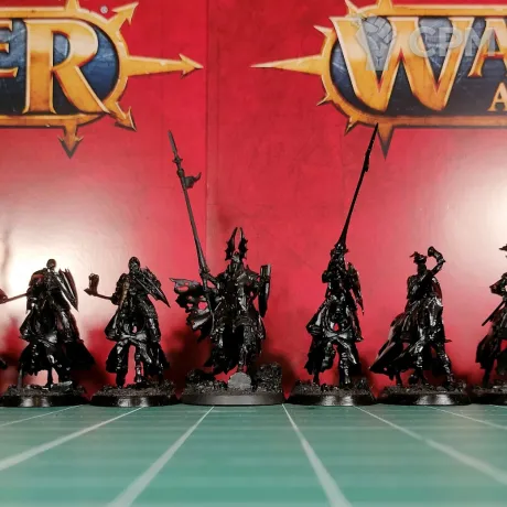 Описание картинки Soulblight Gravelords Wight King and Black Knights/Barrow Knights x10 от Каджит по цене 13 998руб | Свободный Рынок Миниатюр - СРМ