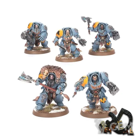 Описание картинки Wolf Guard Terminators от R.E.print по цене 500руб | Свободный Рынок Миниатюр - СРМ