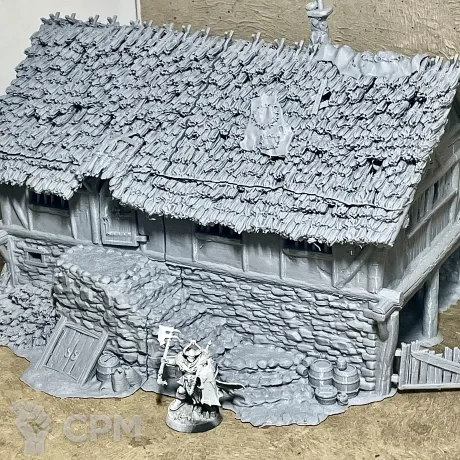 Описание картинки Большое имение от 3D Wargaming по цене 8 500руб | Свободный Рынок Миниатюр - СРМ