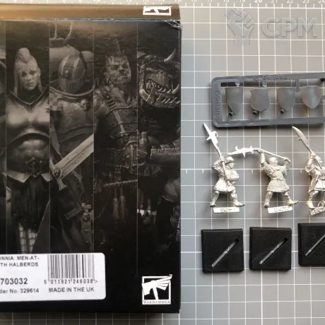 Описание картинки 3 Bretonnian Men-At-Arms with Halberds от Old Metal Collector по цене 3 400руб | Свободный Рынок Миниатюр - СРМ