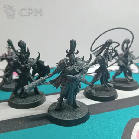 Описание картинки Myrmidesh Painbringers/Symbaresh Twinsouls от GamingWarlord по цене 500руб | Свободный Рынок Миниатюр - СРМ