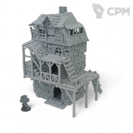 Описание картинки Разрушенная Гильдия - Террейн, Shadowfey Ruins от Terrain Print по цене 3 200руб | Свободный Рынок Миниатюр - СРМ