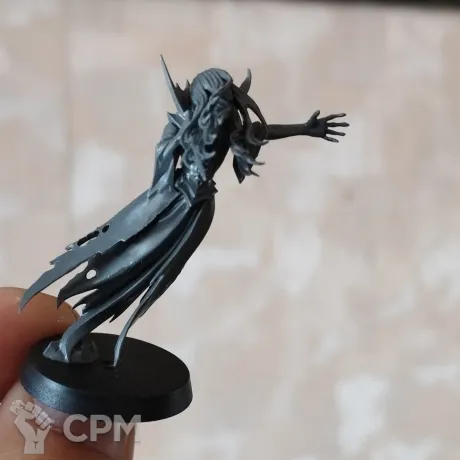 Описание картинки Tomb Banshee от GodofPlague по цене 1 000руб | Свободный Рынок Миниатюр - СРМ