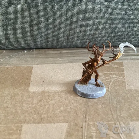 Описание картинки Sylvaneth Branchwych от User57488 по цене 950руб | Свободный Рынок Миниатюр - СРМ