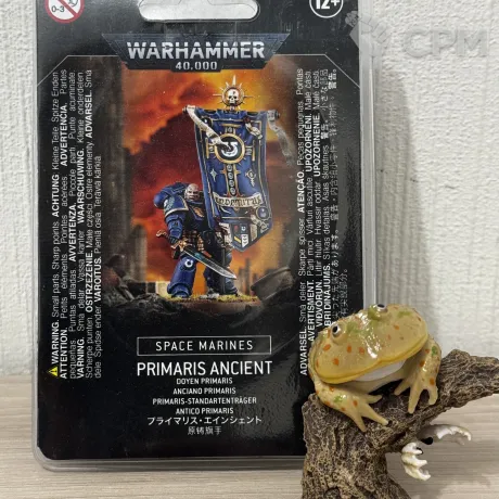 Описание картинки Primaris Ancient от Lightman по цене 4 000руб | Свободный Рынок Миниатюр - СРМ