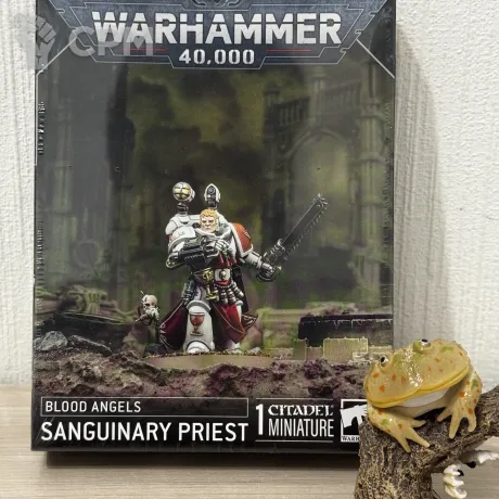 Описание картинки Sanguinary Priest от Lightman по цене 4 000руб | Свободный Рынок Миниатюр - СРМ