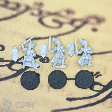 Описание картинки Knights Dol Amroth (3 модели старая версия) Властелин колец от Лавка Саурона по цене 300руб | Свободный Рынок Миниатюр - СРМ