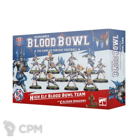 Описание картинки []ПРЕДЗАКАЗ High Elf Blood Bowl Team: The Caledor Dragons от MiniaturesFAN по цене 5 712руб | Свободный Рынок Миниатюр - СРМ