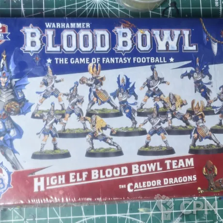 Описание картинки High Elf Blood Bowl Team от Strohkopf по цене 5 000руб | Свободный Рынок Миниатюр - СРМ