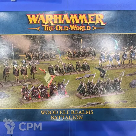 Описание картинки TOW: Wood Elf Realms Battalion от Akella по цене 18 000руб | Свободный Рынок Миниатюр - СРМ