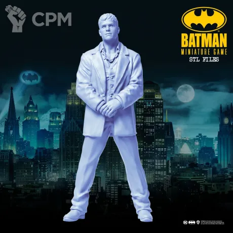 Описание картинки Twin 2 - Batman Miniature Game от Критикал Принт по цене 180руб | Свободный Рынок Миниатюр - СРМ