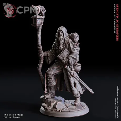 Описание картинки Master Mage / Empire Wizard / Маг / Колдун / Чарадей от MrMetalHorror по цене 275руб | Свободный Рынок Миниатюр - СРМ