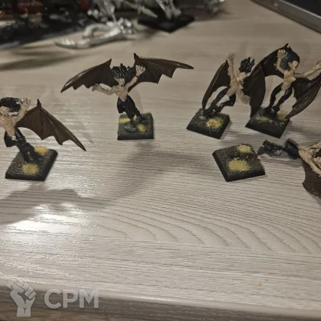 Описание картинки Dark Elf Harpies от Max-L45 по цене 2 000руб | Свободный Рынок Миниатюр - СРМ