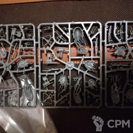Описание картинки Craventhrone Guard от Loika по цене 3 700руб | Свободный Рынок Миниатюр - СРМ