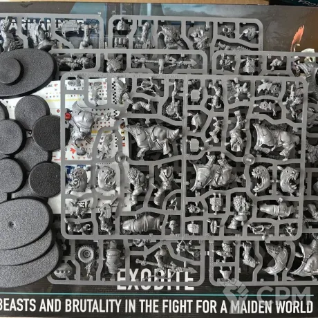 Описание картинки Kill Team Exodite Ork NPO (Beast Snagga Boys and Squighog Boyz) от Defiler по цене 100руб | Свободный Рынок Миниатюр - СРМ