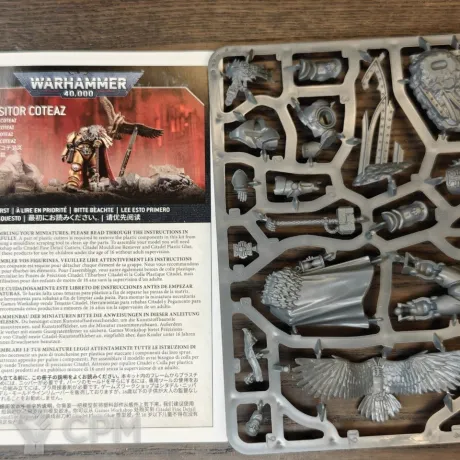 Описание картинки Inquisitor Coteaz and Psyber-eagle (Оригинал) от Barbara по цене 4 200руб | Свободный Рынок Миниатюр - СРМ