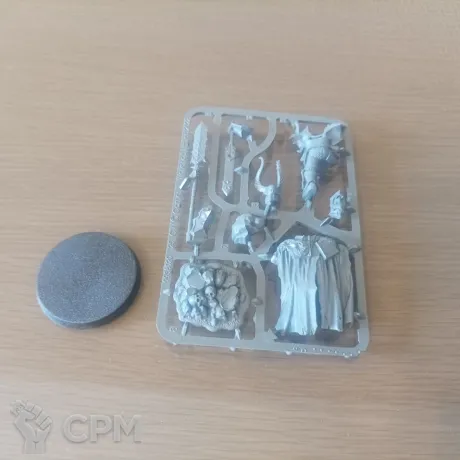 Описание картинки Chaos Lord пеший, AoS (оригинал) от LordNest по цене 2 000руб | Свободный Рынок Миниатюр - СРМ