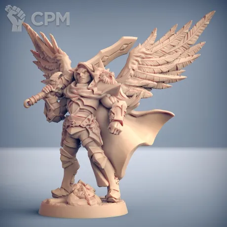 Описание картинки Мужчина Паладин 2 (Male Paladin 2) от Gabrigame_Print по цене 270руб | Свободный Рынок Миниатюр - СРМ