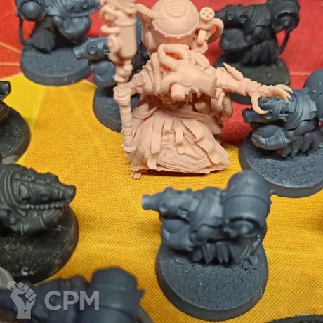 Описание картинки Acolyte Globadiers + всякое от UniversalCultist по цене 1 900руб | Свободный Рынок Миниатюр - СРМ