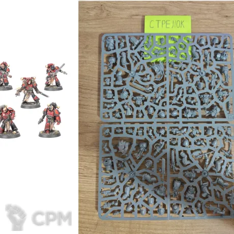 Описание картинки Red Corsairs Raiders (Оригинал) от CTPEJIOK по цене 4 400руб | Свободный Рынок Миниатюр - СРМ