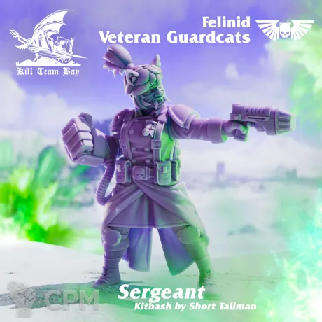 Описание картинки Felinid Veteran Guardcats 2 от WebWay 3D по цене 1 100руб | Свободный Рынок Миниатюр - СРМ