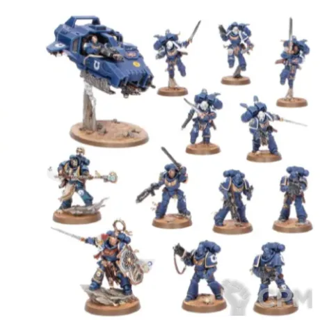 Описание картинки Половина Space Marines из стартера 11ой редакции от Ktenon по цене 9 000руб | Свободный Рынок Миниатюр - СРМ