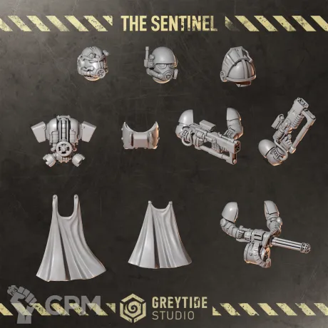Описание картинки Hero pack The Sentinel от Dr. Printicus по цене 500руб | Свободный Рынок Миниатюр - СРМ