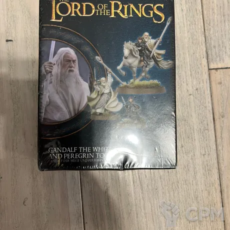 Описание картинки Gandalf &amp; Peregrin Took от Sir Mordred по цене 2 500руб | Свободный Рынок Миниатюр - СРМ