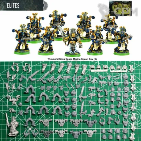 Описание картинки Thousand Sons Space Marine Squad (2002) от Stark Foundry по цене 2 890руб | Свободный Рынок Миниатюр - СРМ