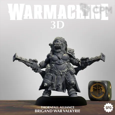 Описание картинки Brigand War Valkyrie от Manufactorum76 по цене 225руб | Свободный Рынок Миниатюр - СРМ