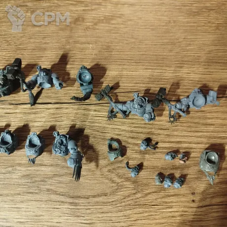 Описание картинки Wolf Guard Terminators (OOP) от Disciple по цене 3 000руб | Свободный Рынок Миниатюр - СРМ