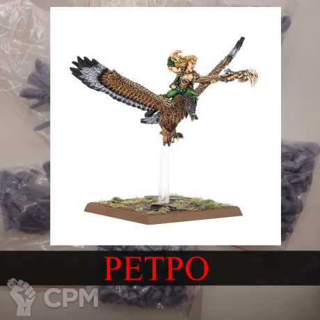 Описание картинки Wood Elf Mage on Warhawk от White Rhino по цене 399руб | Свободный Рынок Миниатюр - СРМ