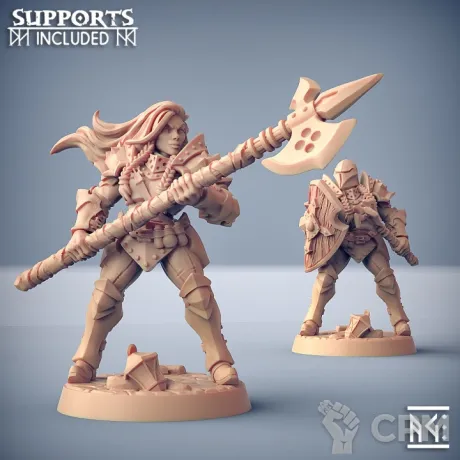 Описание картинки Женщина Рыцарь (Female Knight) от Gabrigame_Print по цене 270руб | Свободный Рынок Миниатюр - СРМ