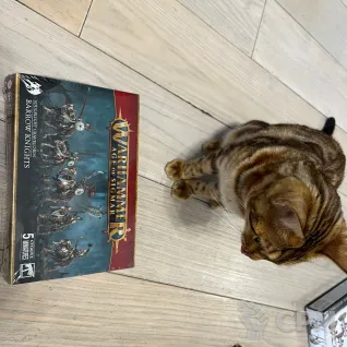 Описание картинки Soulblight Gravelords Barrow Knights от Sir Mordred по цене 5 100руб | Свободный Рынок Миниатюр - СРМ