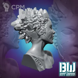 Описание картинки Crystal Muse (Bust) от Naggaroth Night по цене 1 500руб | Свободный Рынок Миниатюр - СРМ