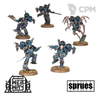 Описание картинки Raptors / Warp Talons (New) (3 литника) от WebWay по цене 2 662руб | Свободный Рынок Миниатюр - СРМ