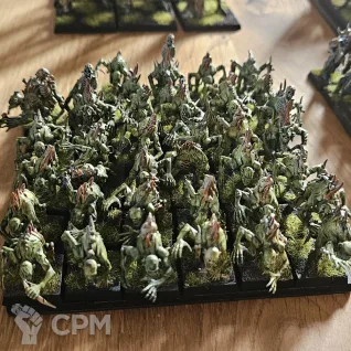 Описание картинки Армия нежити AoS, Fantasy battles от Yrgo по цене 163 000руб | Свободный Рынок Миниатюр - СРМ