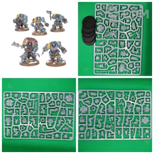 Описание картинки Wolf Guard Terminators от Templar Forge по цене 1 950руб | Свободный Рынок Миниатюр - СРМ