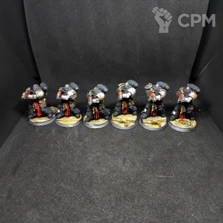 Описание картинки Sternguard Veteran Squad от Гарри куст по цене 2 000руб | Свободный Рынок Миниатюр - СРМ