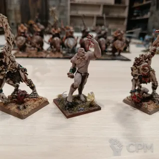 Описание картинки Ogre Kingdoms army от Yrgo по цене 200 000руб | Свободный Рынок Миниатюр - СРМ