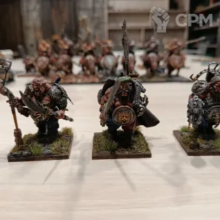 Описание картинки Ogre Kingdoms army от Yrgo по цене 200 000руб | Свободный Рынок Миниатюр - СРМ