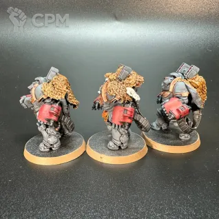 Описание картинки Primaris Aggressors wolf от StANowar по цене 3 500руб | Свободный Рынок Миниатюр - СРМ