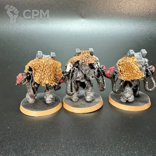 Описание картинки Primaris Aggressors wolf от StANowar по цене 3 500руб | Свободный Рынок Миниатюр - СРМ
