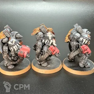 Описание картинки Primaris Aggressors wolf от StANowar по цене 3 500руб | Свободный Рынок Миниатюр - СРМ