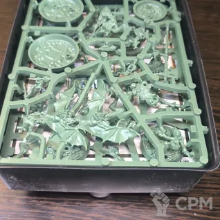 Описание картинки Warhammer Underworlds Beastgrave Мрачный дозор от HY6AC по цене 2 800руб | Свободный Рынок Миниатюр - СРМ