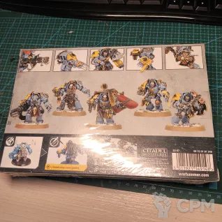 Описание картинки OLD wolf guard terminators от Garry2020 по цене 4 300руб | Свободный Рынок Миниатюр - СРМ