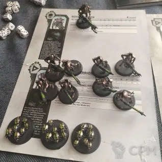 Описание картинки Command edition + recruit edition (оригинал) от Башкатов Данил  по цене 15 000руб | Свободный Рынок Миниатюр - СРМ