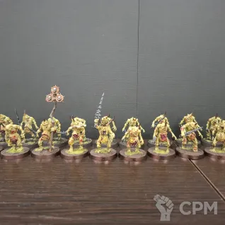 Описание картинки Армия Maggotkin of Nurgle от libkneht по цене 60 000руб | Свободный Рынок Миниатюр - СРМ