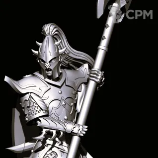 Описание картинки Black Guard of Naggarond от Магазин Альфария по цене 1 000руб | Свободный Рынок Миниатюр - СРМ